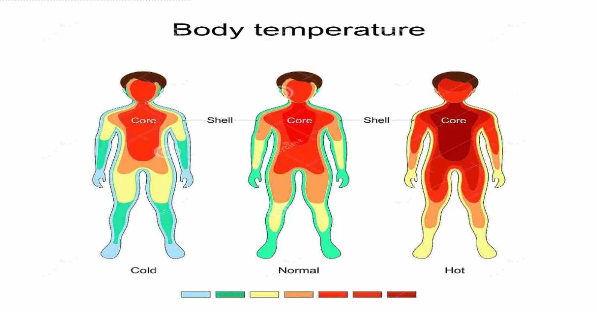 How Core Body Temperature Affects