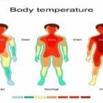 How Core Body Temperature Affects