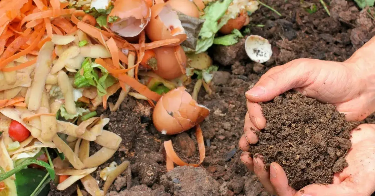 Scraps to Soil Composting