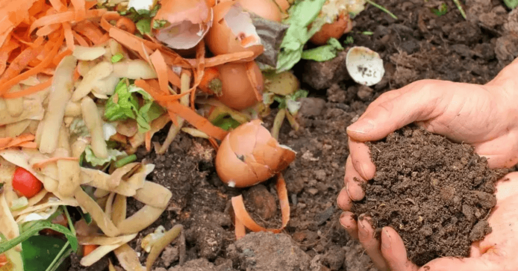 a person holding food scrapsand soil in their hands for scraps to soil composting