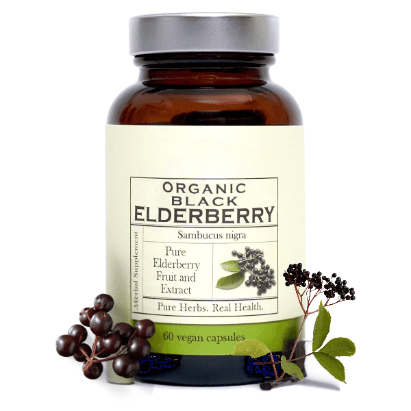 Organic black elderberry immune support supplement capsules