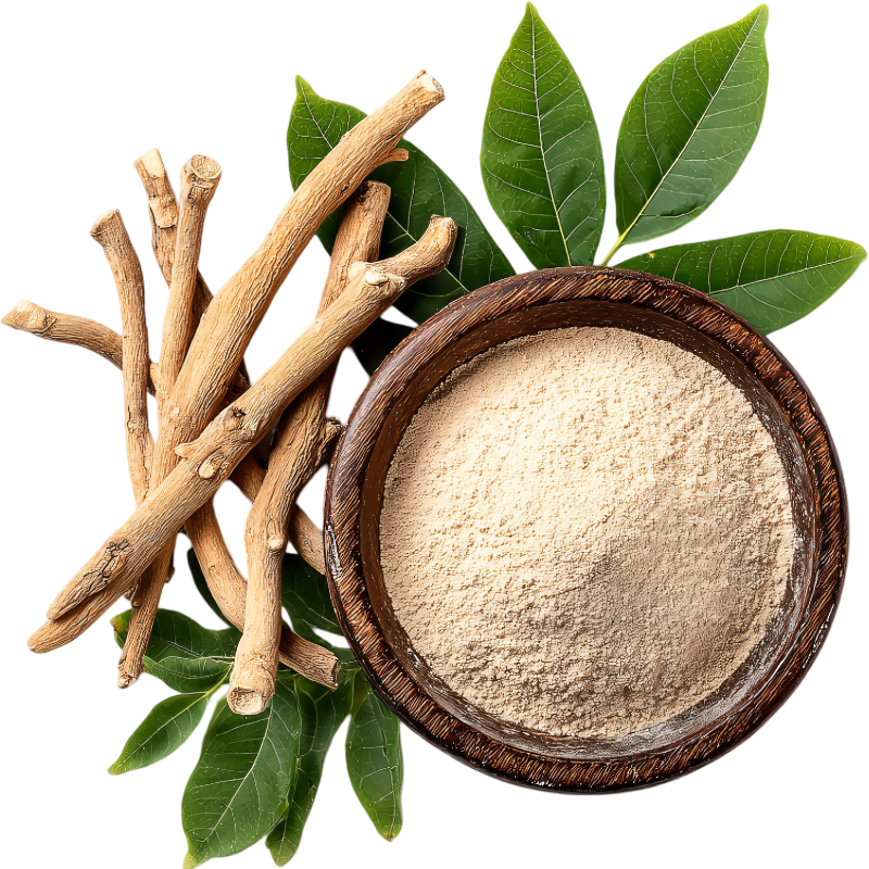 Ashwagandha adaptogenic herb used for stress support 
